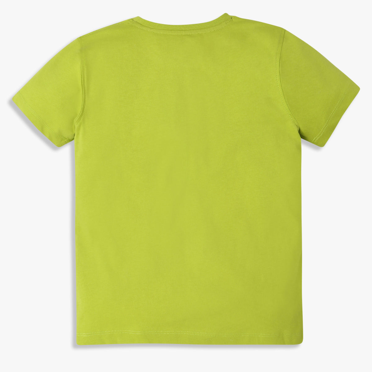 Boys Regular Fit Graphic Crew Neck T-Shirt