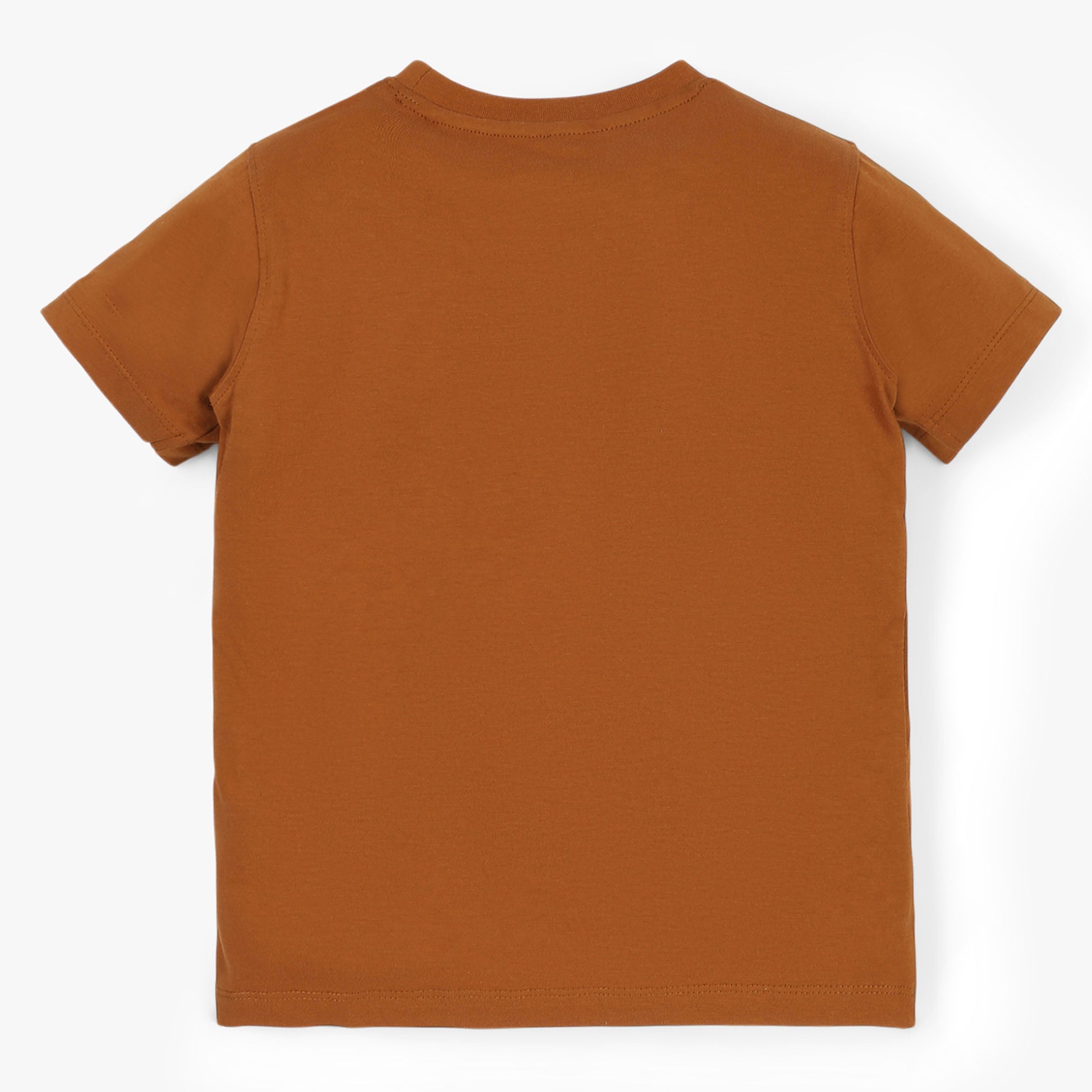 Boys Cotton Fabric Graphic T-Shirt