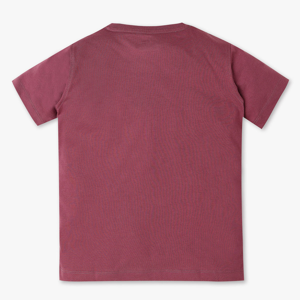 Boys Crew Neck Graphic T-Shirt