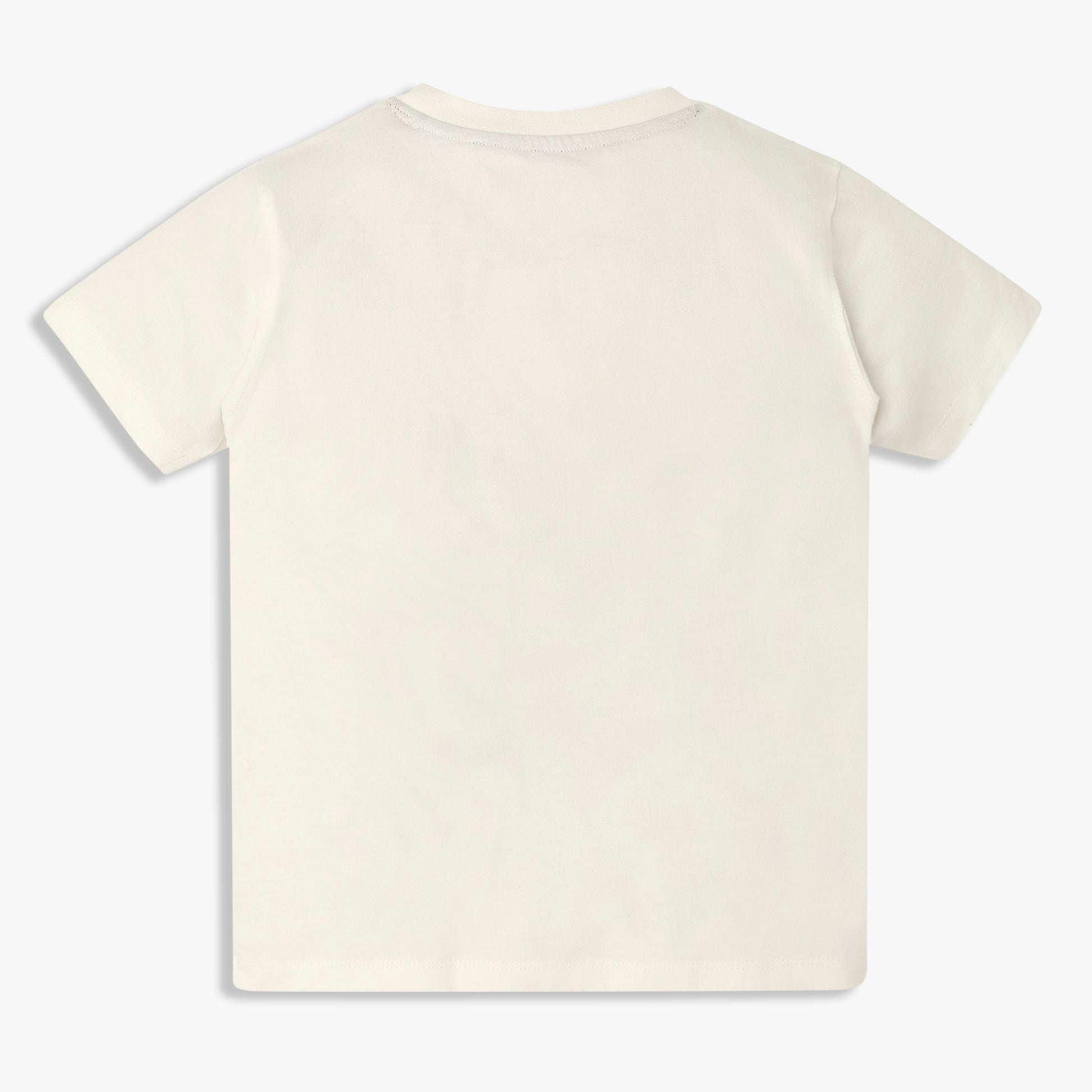 Boys Cotton Crew Neck Graphitee