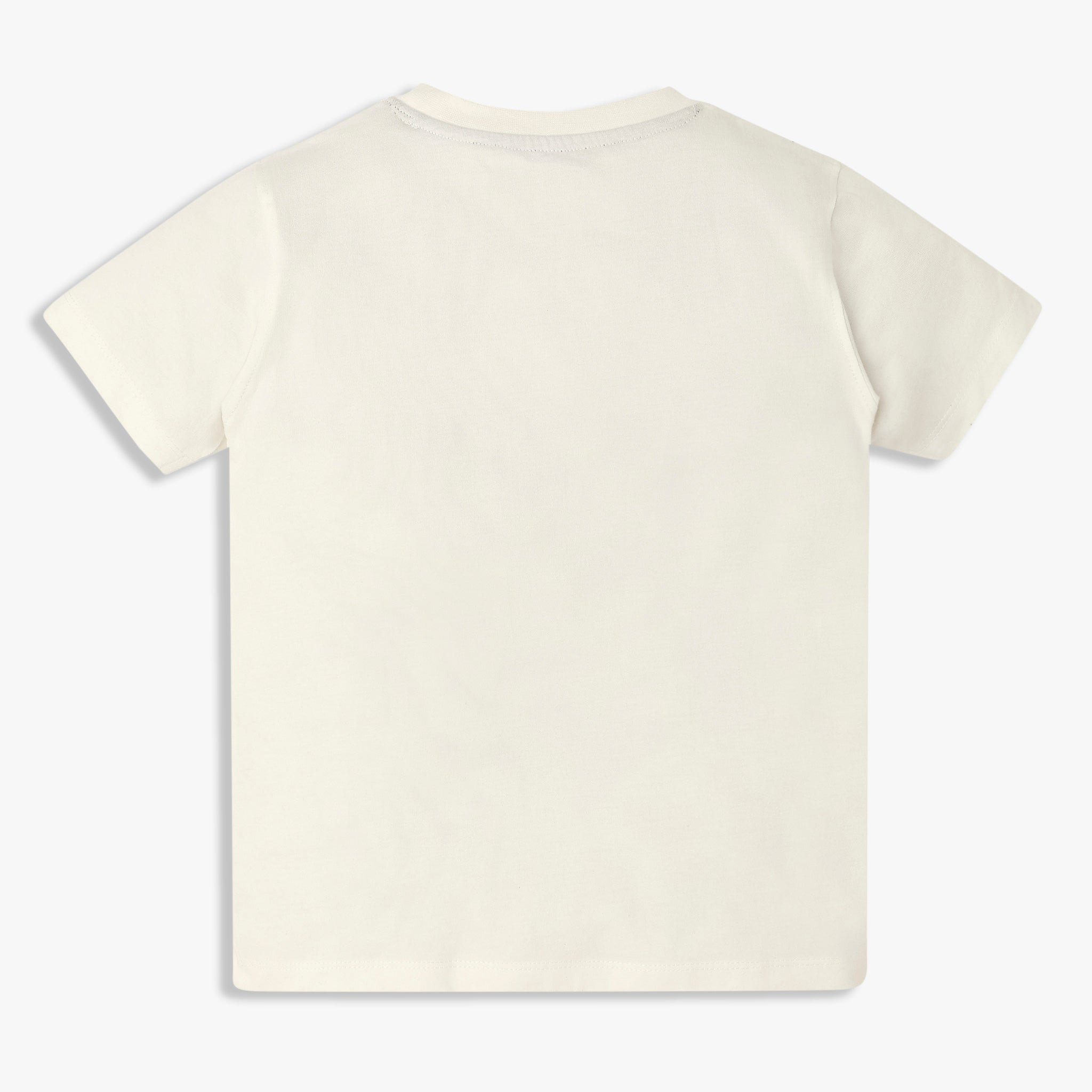 Boys Cotton Crew Neck Graphitee