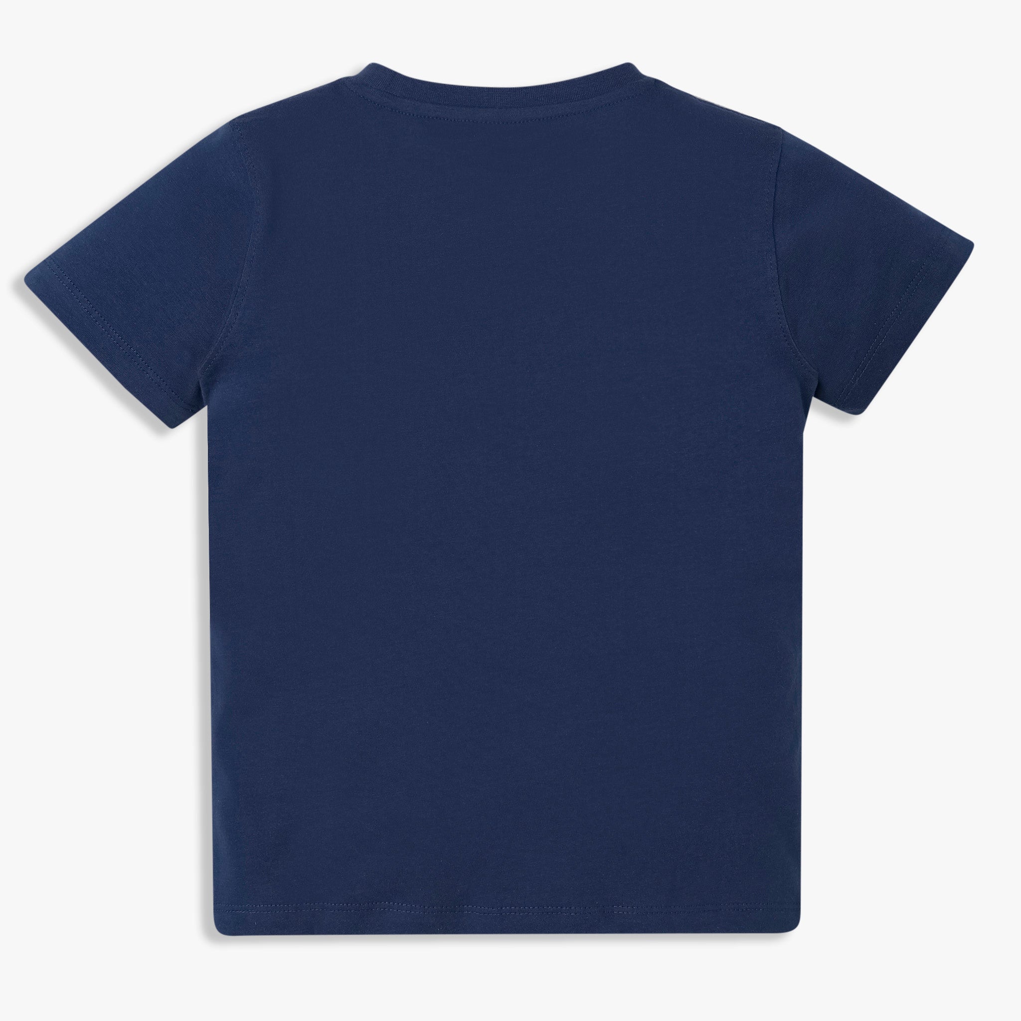 Boys Cotton Crew Neck Graphitee