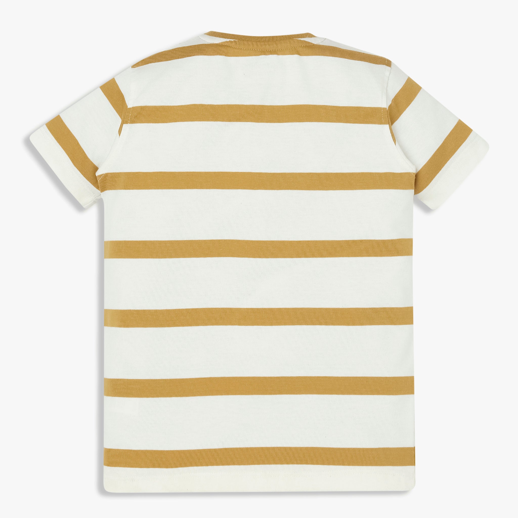 Boys Striped Crew Neck Graphitee