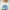 Boys Cotton Crew Neck Graphitee