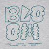 Boys Cotton Crew Neck Graphitee