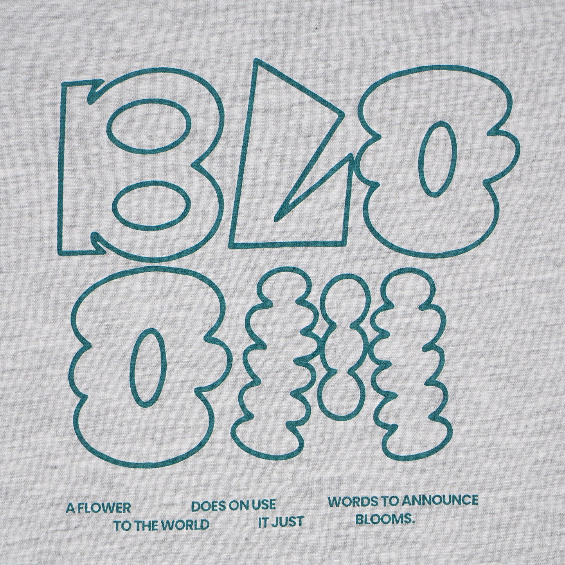 Boys Cotton Crew Neck Graphitee