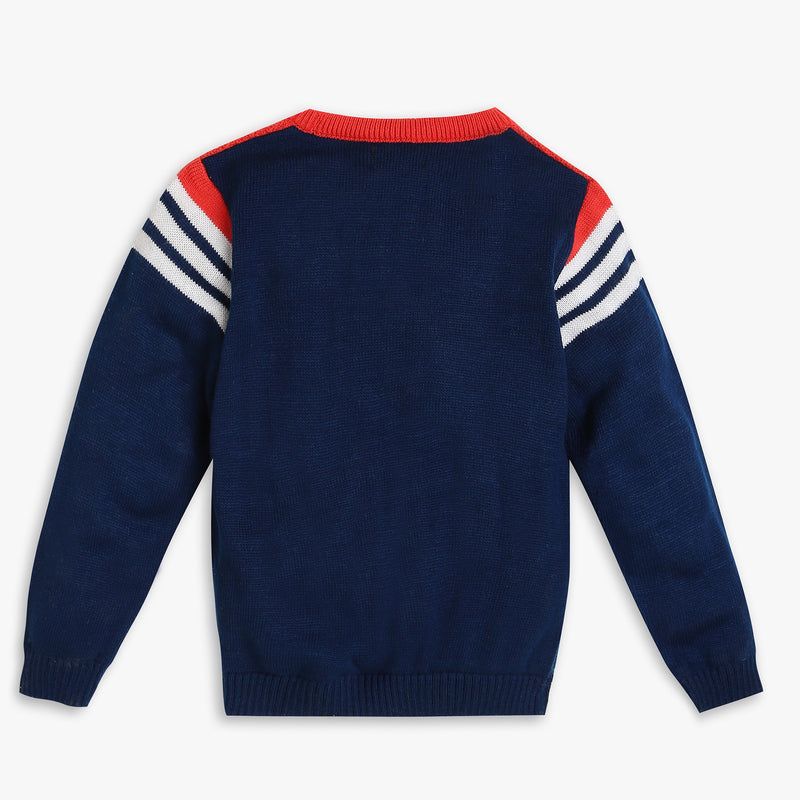 Boys Regular Fit Solid Sweater