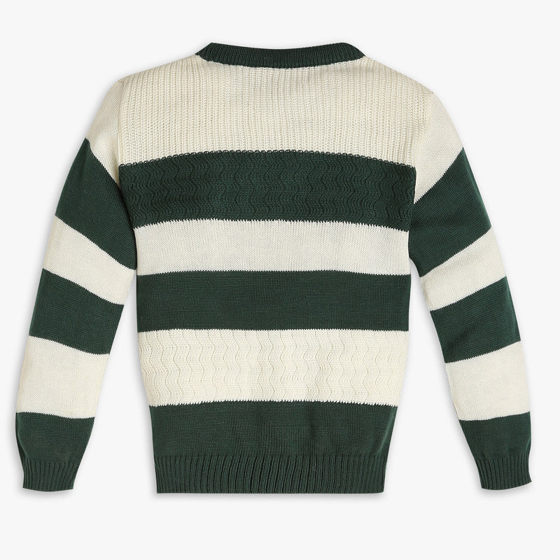 Boys Regular Fit Solid Sweater