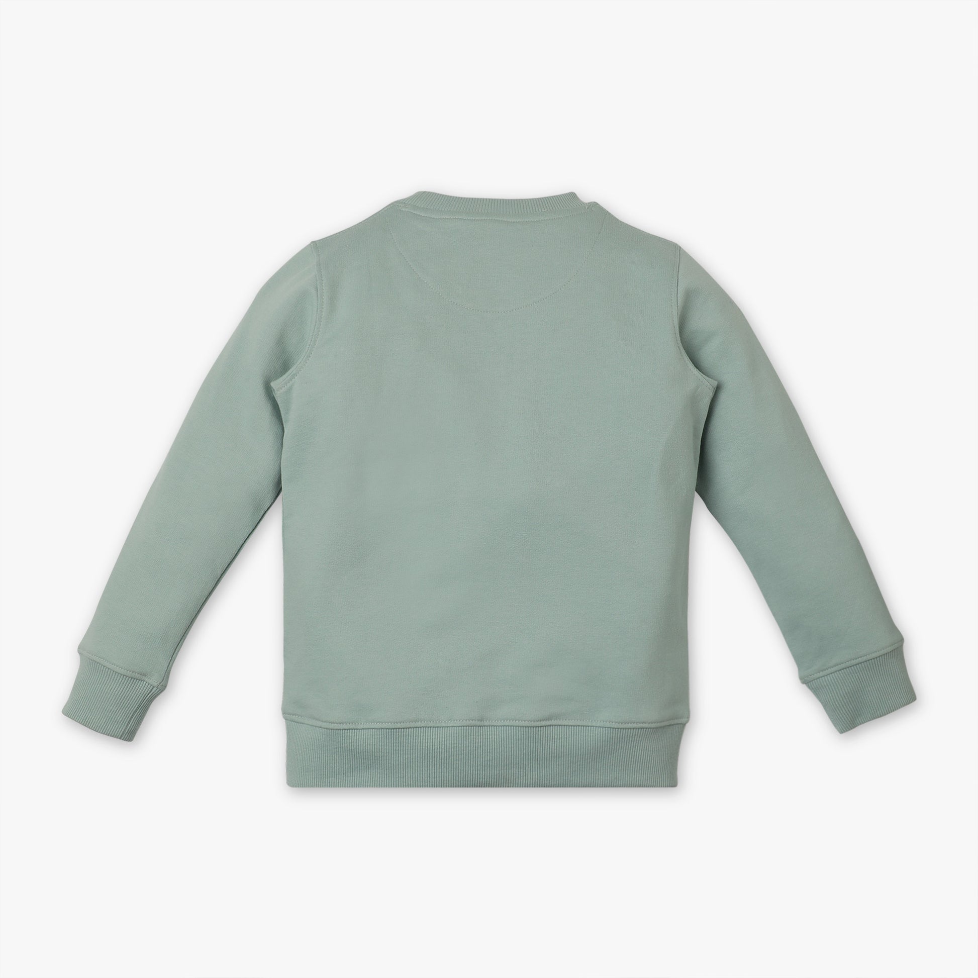 Boys Regular Fit Crew Neck Printed Sweat Tee