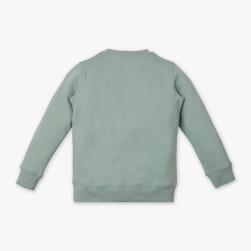 Boys Regular Fit Crew Neck Printed Sweat Tee