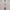 Cotton Printed Straight Kurta
