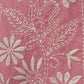 Cotton Embroidered Straight Kurta