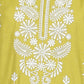 Embroidered V-Neck Centre Panel Kurta
