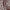 Motifs Knee Length Straight Kurta