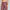 Ankle Length A-Line Flared Pants