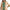 Printed Kurta with Pant Set