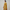 Printed Kurta and Pant with Dupatta Set