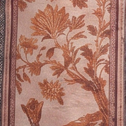 Printed Kurta with Palazzo Set