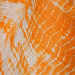 Printed Cotton Dupatta