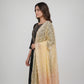 Khadi Printed Chiffon Dupatta