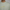 Cotton Oversize Graphic Slogan T-Shirt