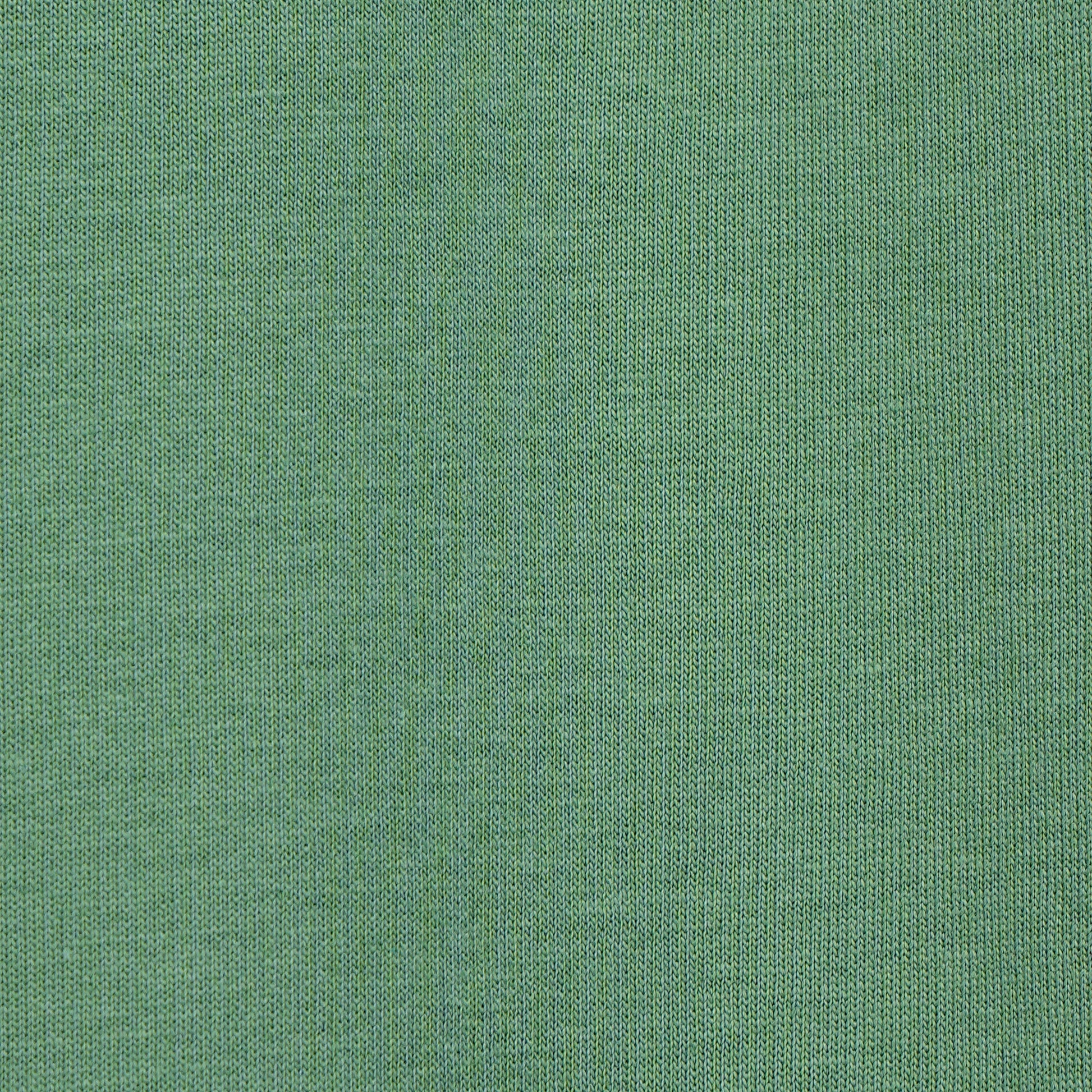 Cotton Graphic Slogan T-Shirt