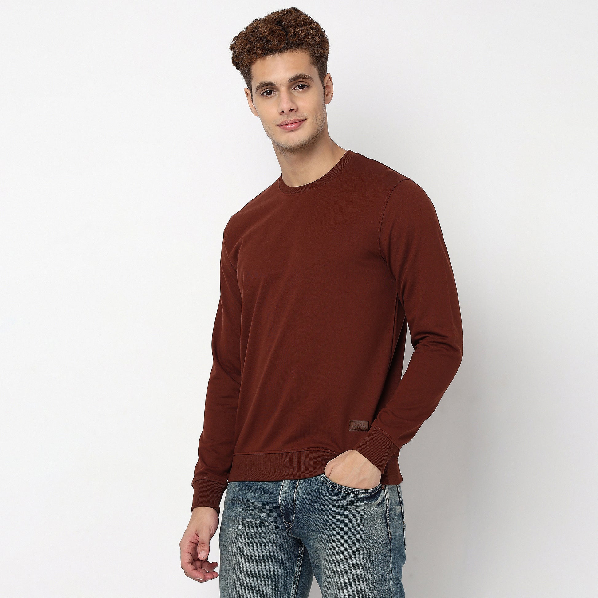 Regular Fit Solid Sweatshirt