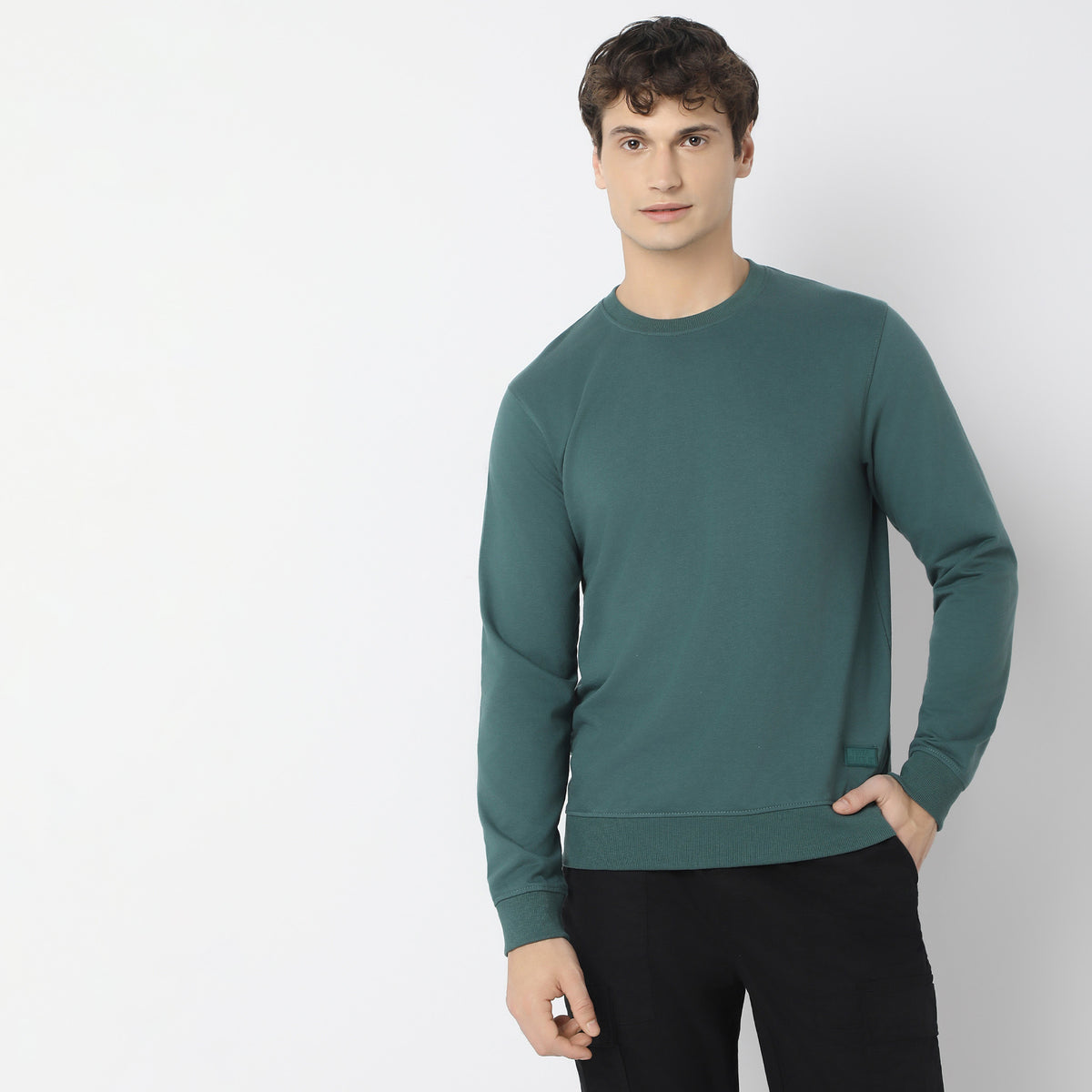 Regular Fit Solid Sweatshirt