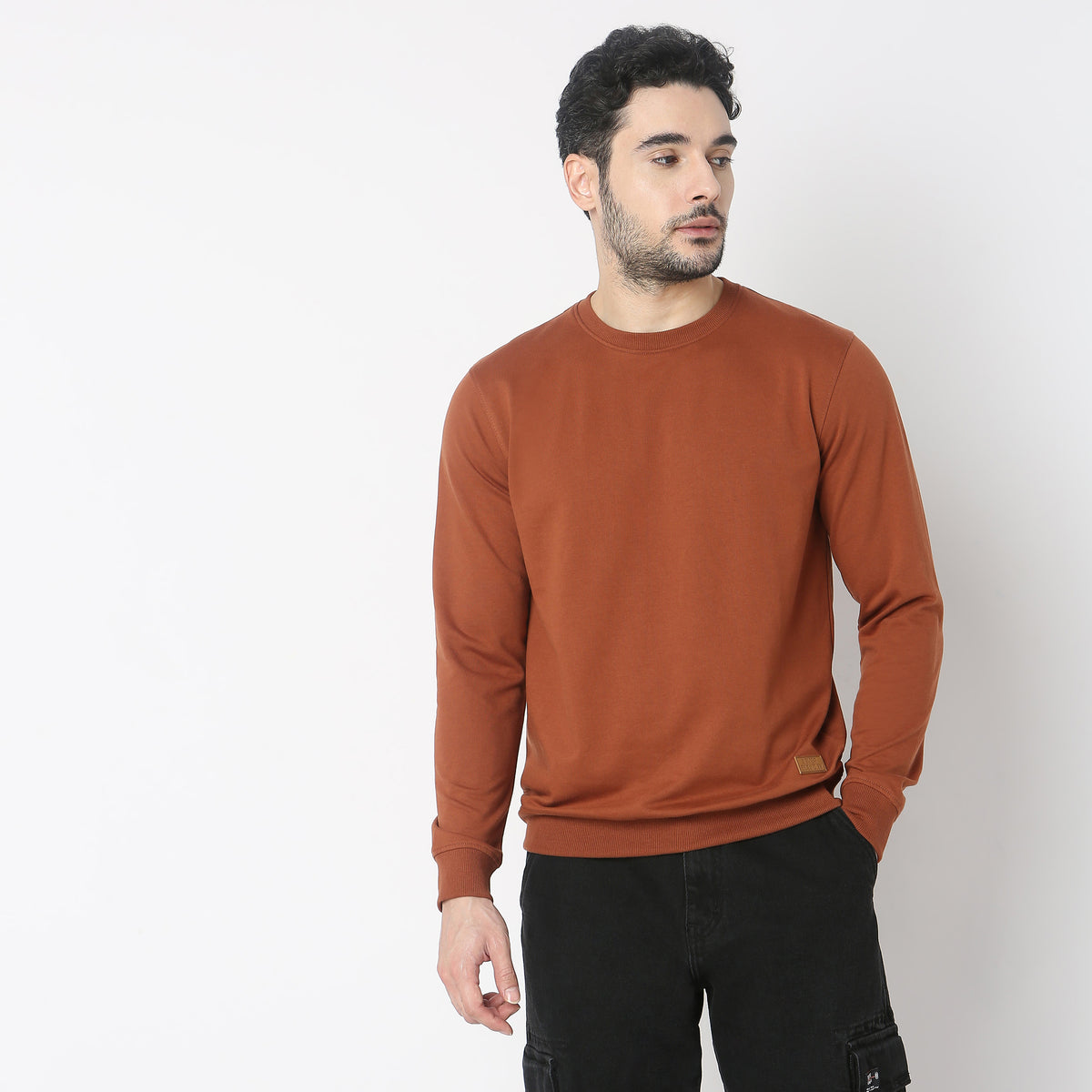 Regular Fit Solid Sweatshirt