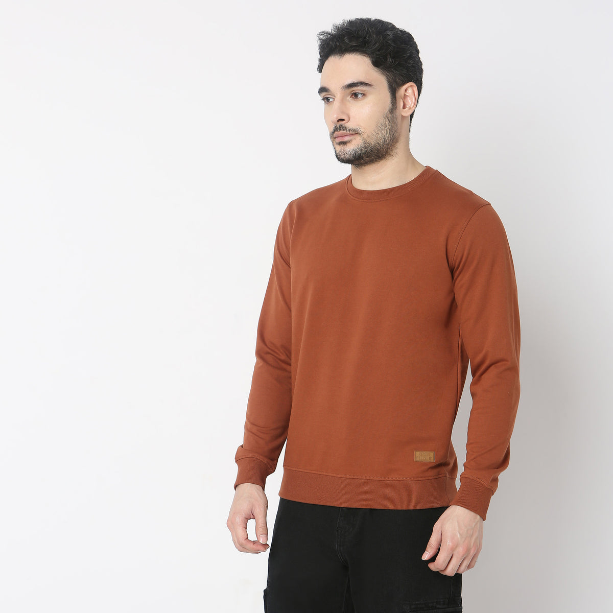 Regular Fit Solid Sweatshirt