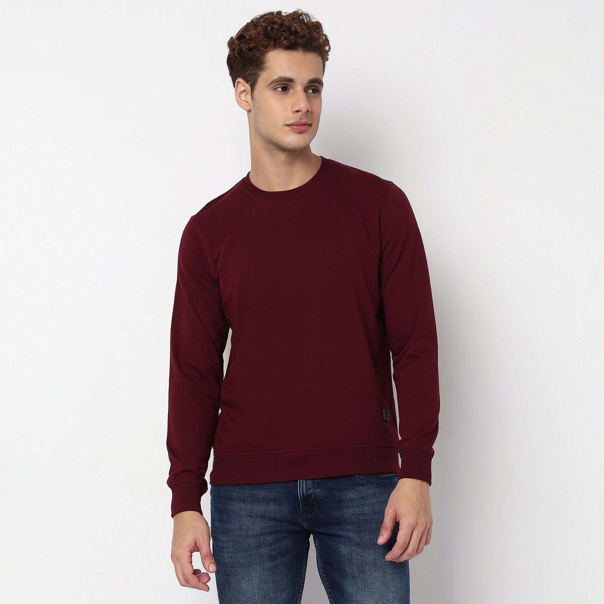 Regular Fit Solid Sweatshirt