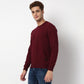 Regular Fit Solid Sweatshirt