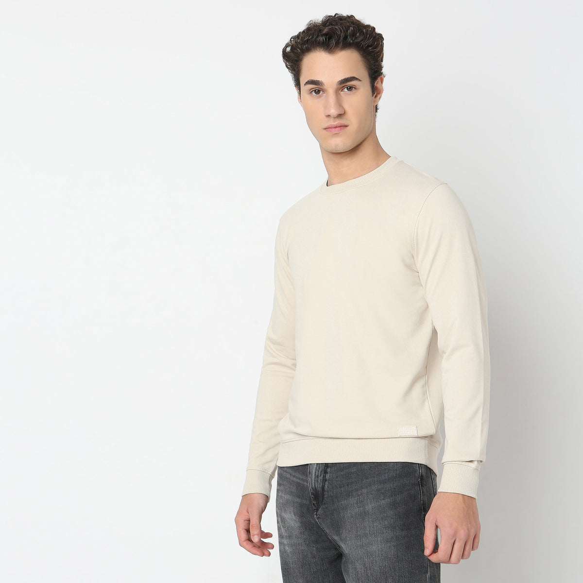 Regular Fit Solid Sweatshirt