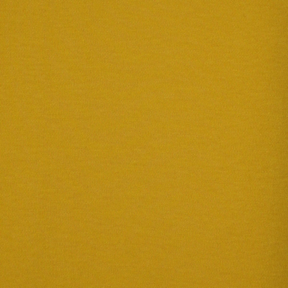 Structured Crew Neck Moto T-Shirt