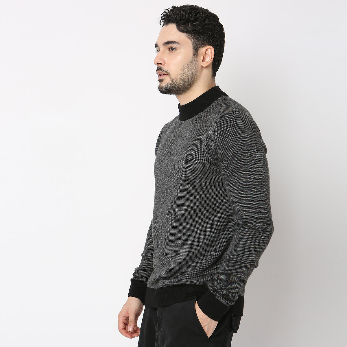 Regular Fit Solid Sweater