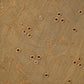 Embroidered Chanderi Dupatta