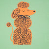 Girls Cotton Crew Neck Graphitee