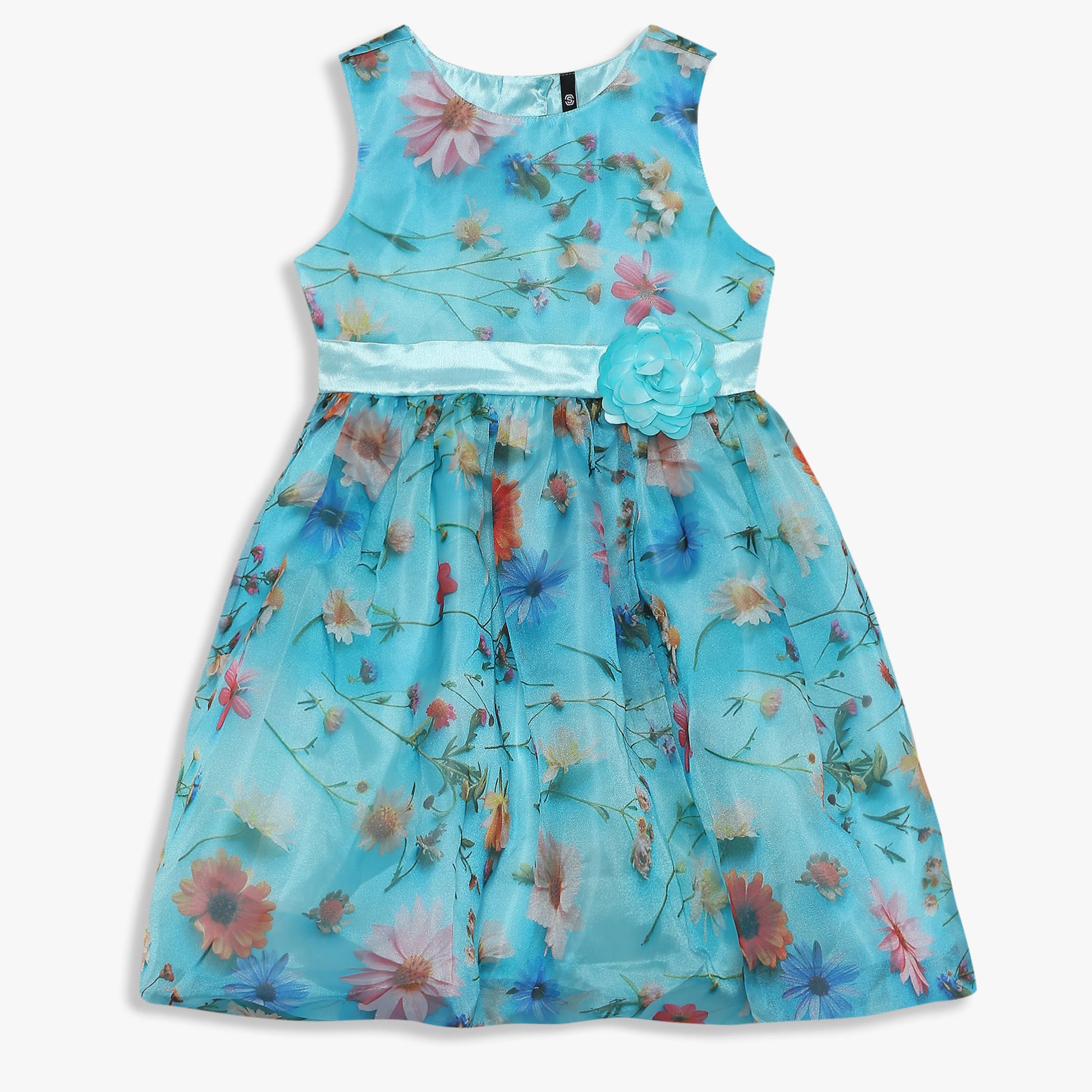 Girls Knee Length Printed Organza Party Dress