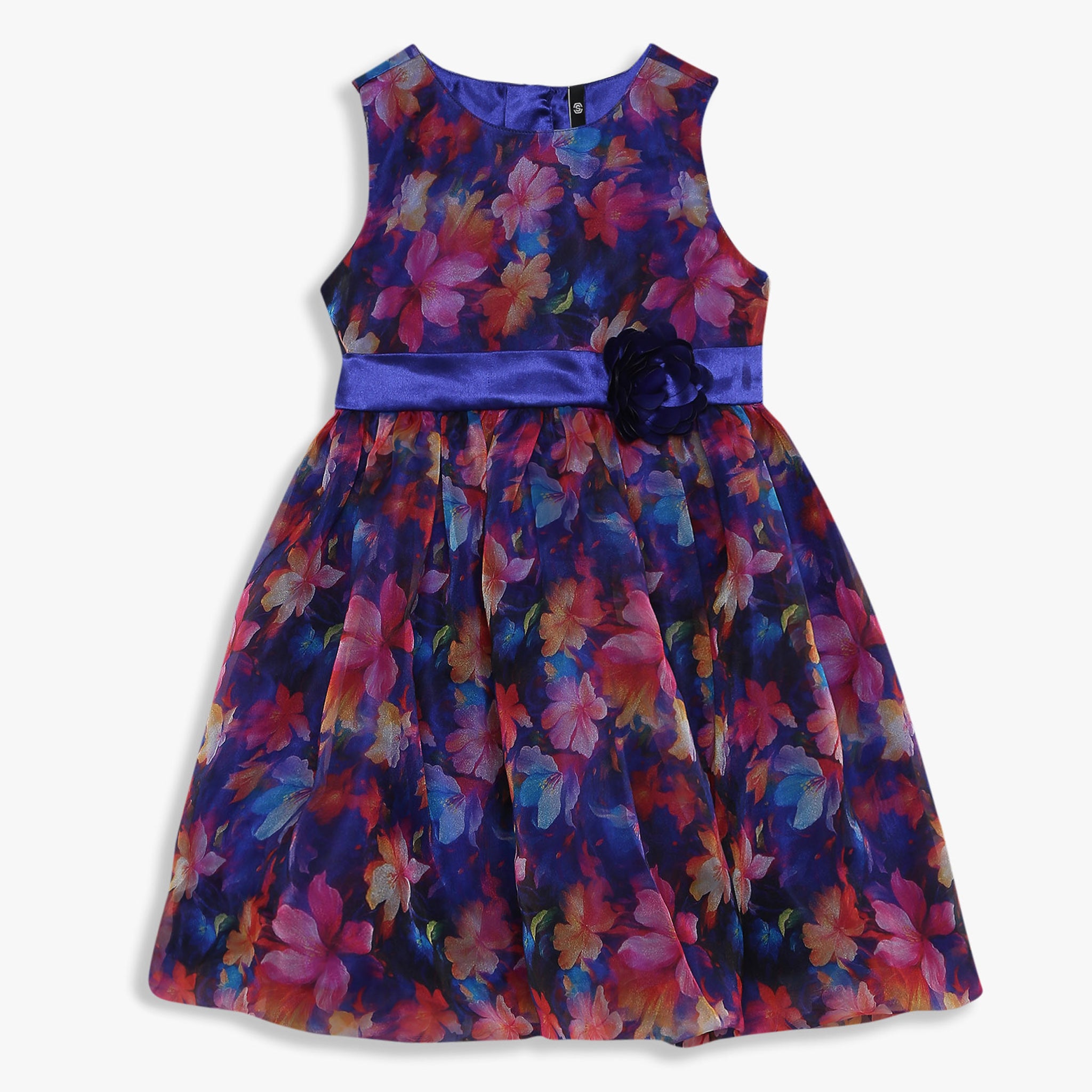 Girls Knee Length Printed Organza Party Dress