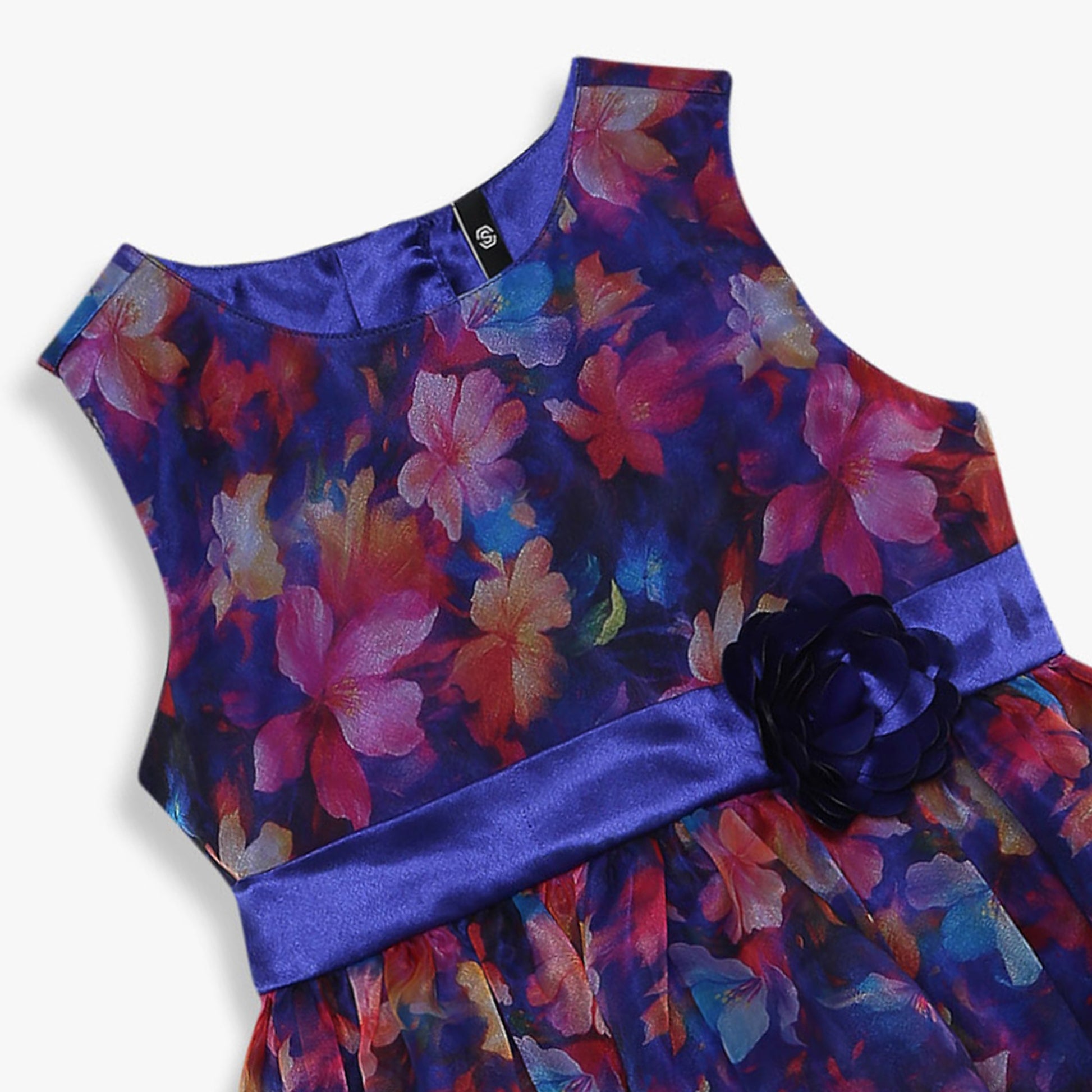 Girls Knee Length Printed Organza Party Dress