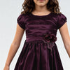 Girls Solid Party Frock
