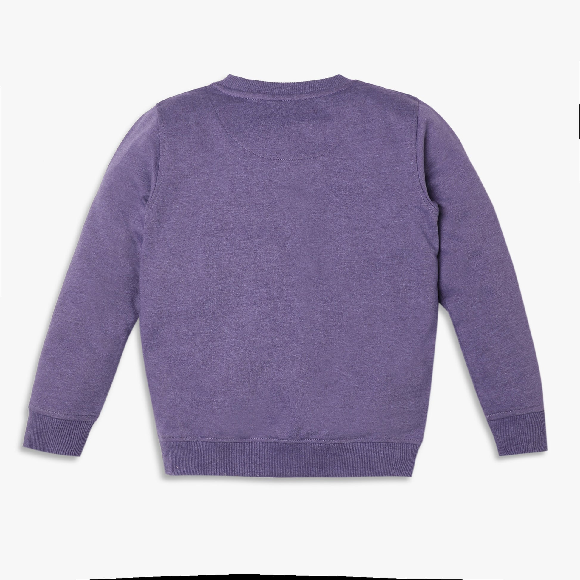 Girls Regular Fit Jacquard Sweat Tees