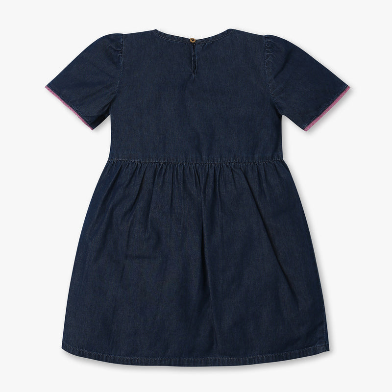 Regular Fit Embroidered A-Line Denim Dress