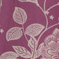 Cotton Printed Kurta