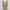 Structured High Rise Straight Pants