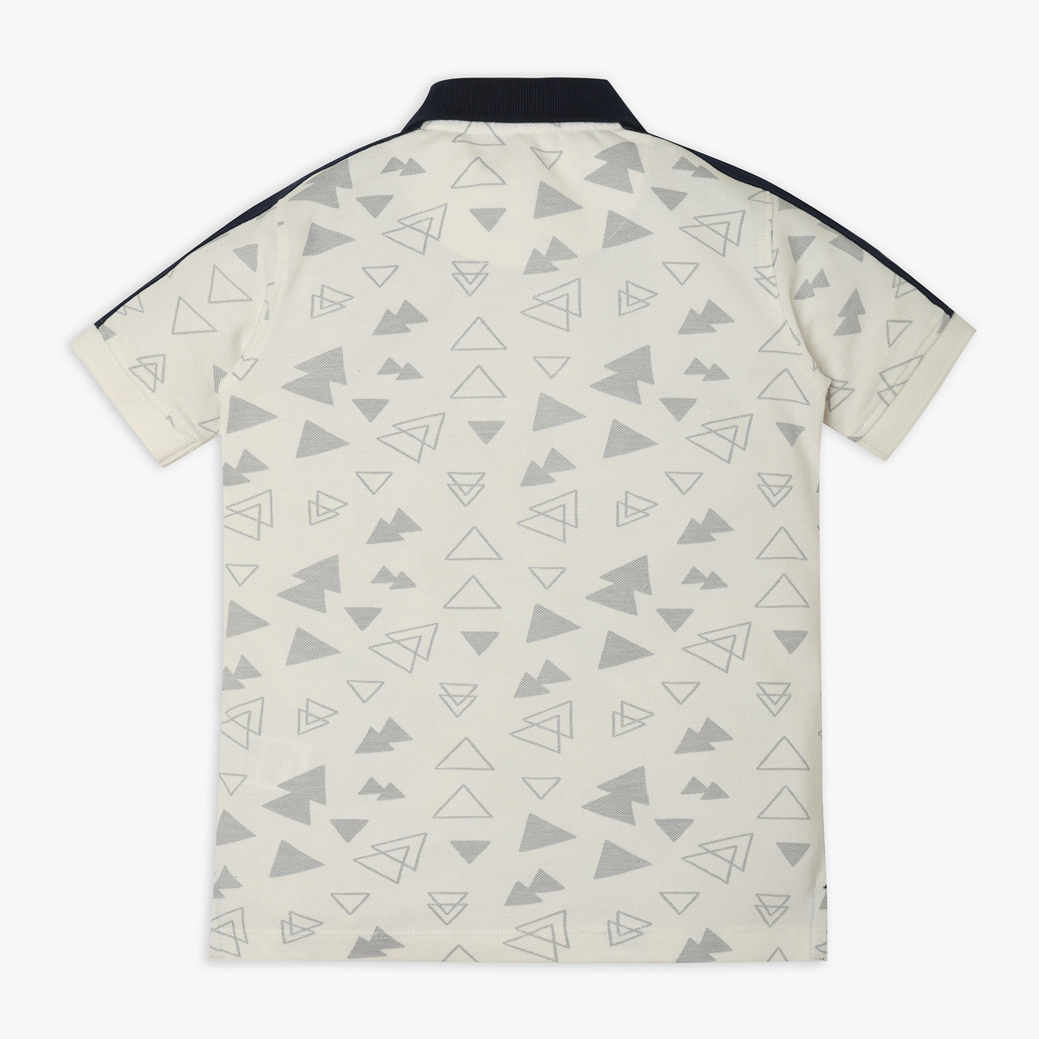 Boys Regular Fit Printed Polo T-Shirt