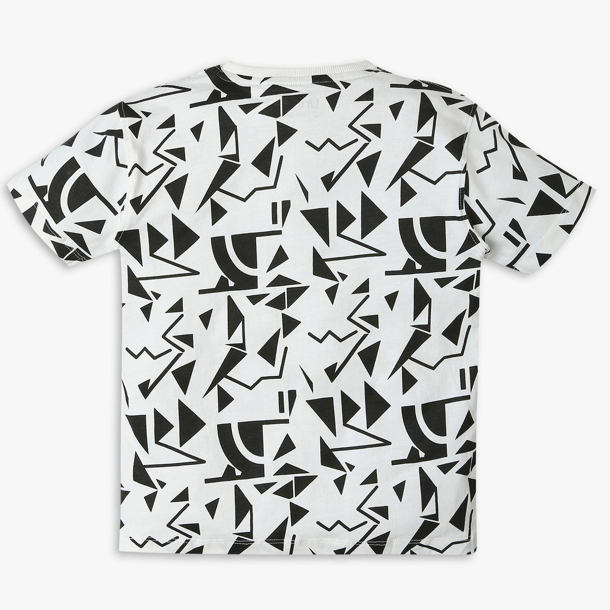 Regular Fit Printed T-Shirt