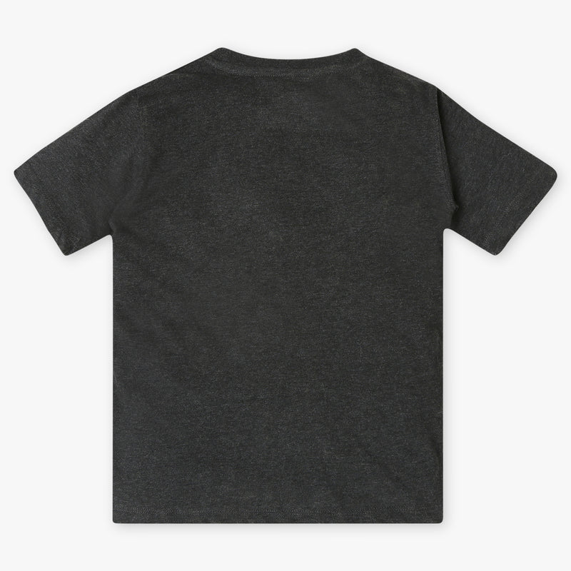 Boys Regular Fit Graphic T-Shirt