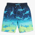 Boys Comfort Fit Printed Mid Rise Shorts