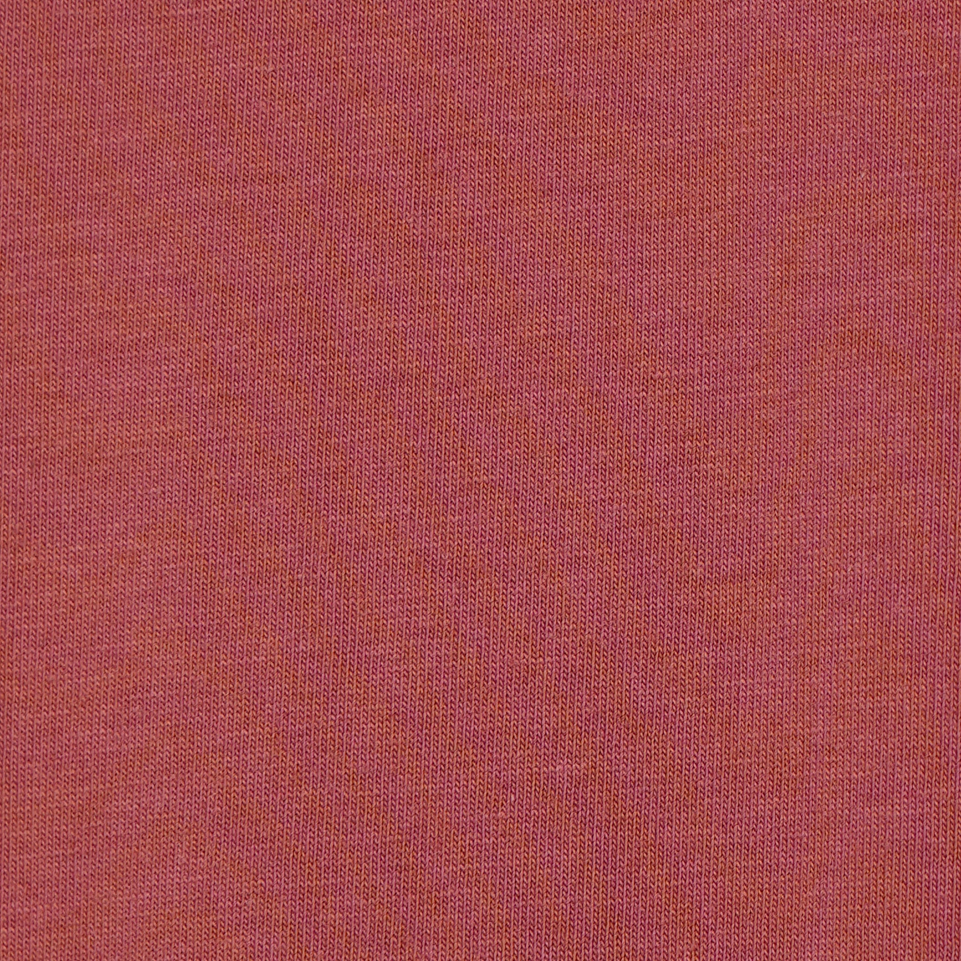 Regular Fit Solid T-Shirt